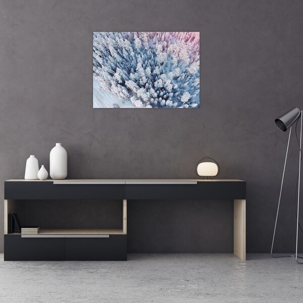 Havas fák képe (70x50 cm)