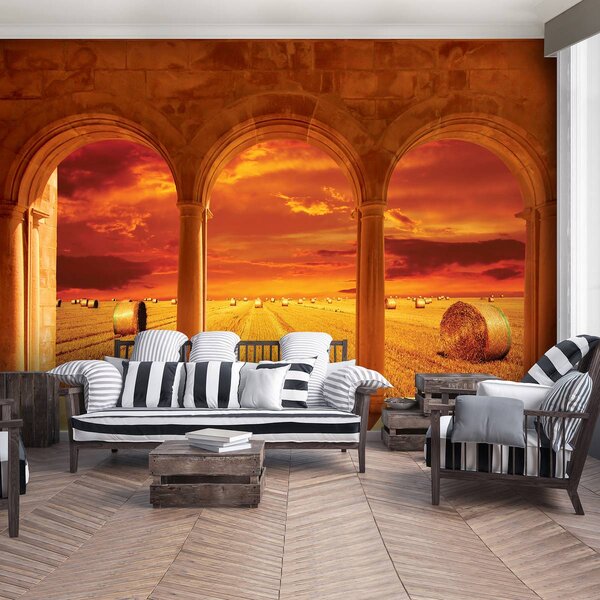 Fotótapéta - Mező (152,5x104 cm)