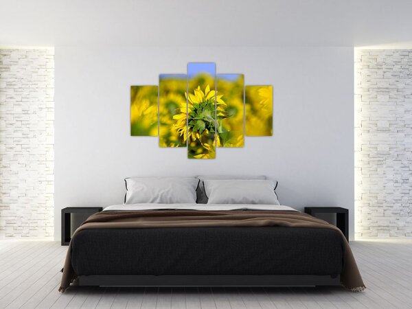 Napraforgó képe (150x105 cm)