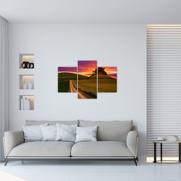 Mező és a színes ég képe (90x60 cm)