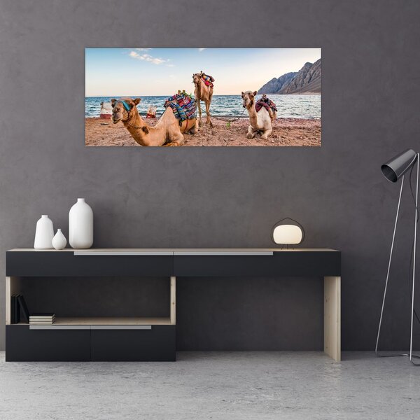 A tevék képe (120x50 cm)