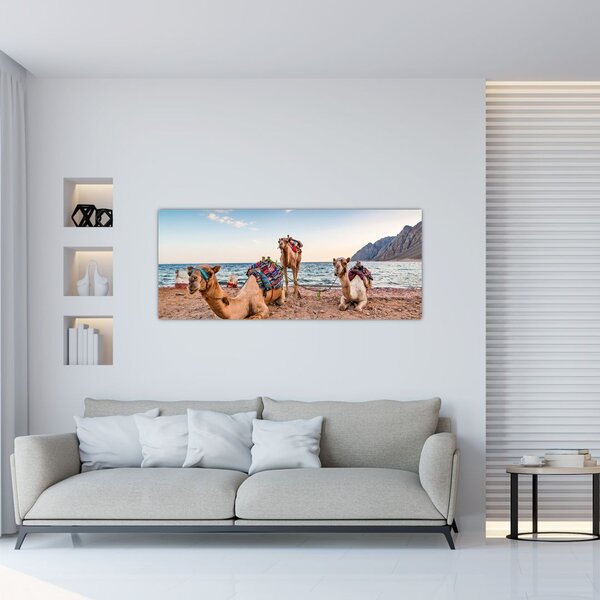 A tevék képe (120x50 cm)