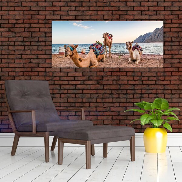 A tevék képe (120x50 cm)