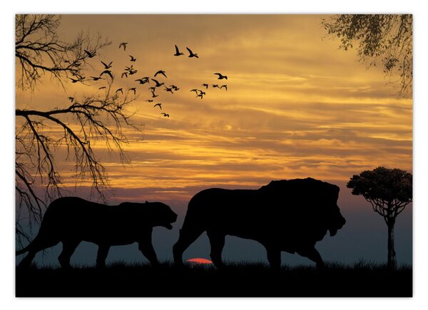 Safari képe (70x50 cm)
