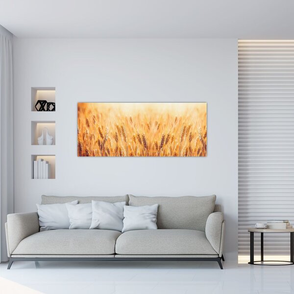 Kép - mező gabonával (120x50 cm)