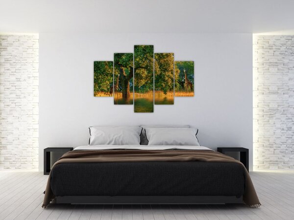 Zsiráf a természetben képe (150x105 cm)