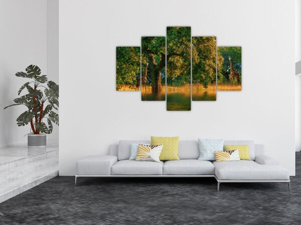 Zsiráf a természetben képe (150x105 cm)