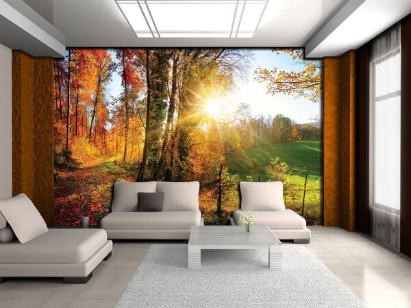 Fotótapéta - Őszi erdő (152,5x104 cm)