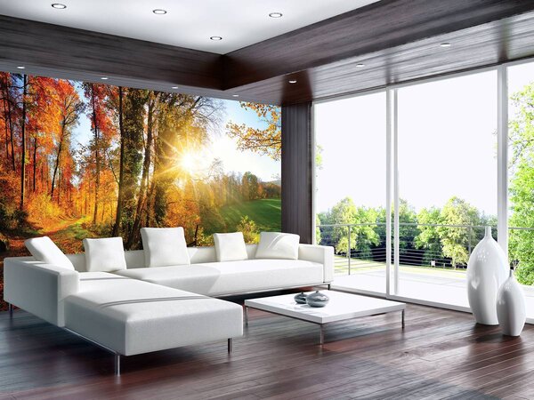 Fotótapéta - Őszi erdő (152,5x104 cm)