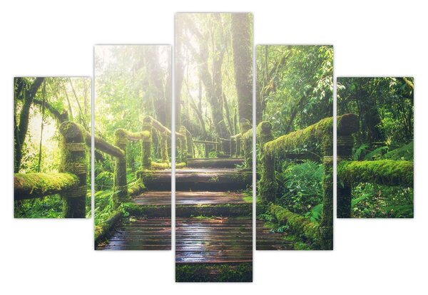 Kép - falépcsők az erdőben (150x105 cm)