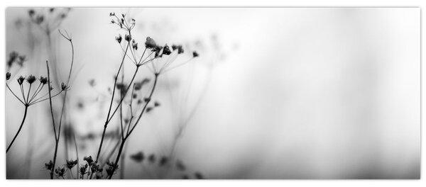 Kép - Réti virágok részlete (120x50 cm)