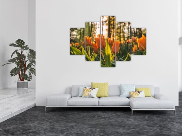 Narancssárga tulipán képe (150x105 cm)