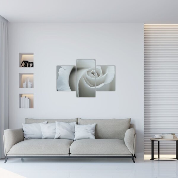 Kép - Fehér rózsa (90x60 cm)