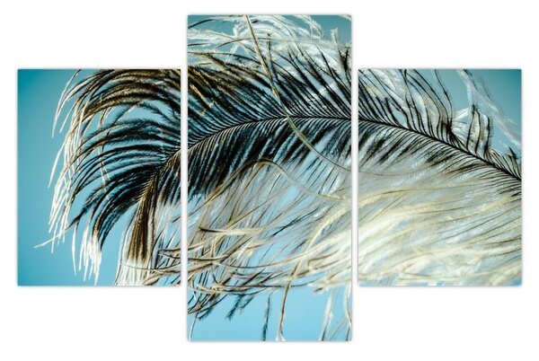 Tollas kép (90x60 cm)