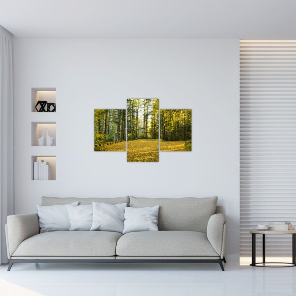 Kép - erdő ősszel (90x60 cm)
