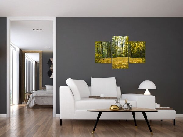 Kép - erdő ősszel (90x60 cm)