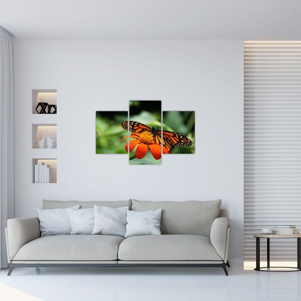Pillangó képe a virágon (90x60 cm)