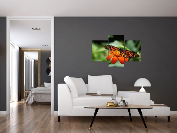 Pillangó képe a virágon (90x60 cm)