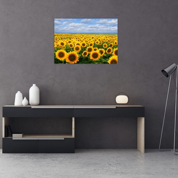 A napraforgó mező képe (70x50 cm)