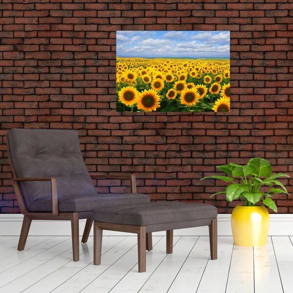 A napraforgó mező képe (70x50 cm)