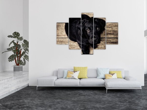 Egy fekete kiskutya képe (150x105 cm)