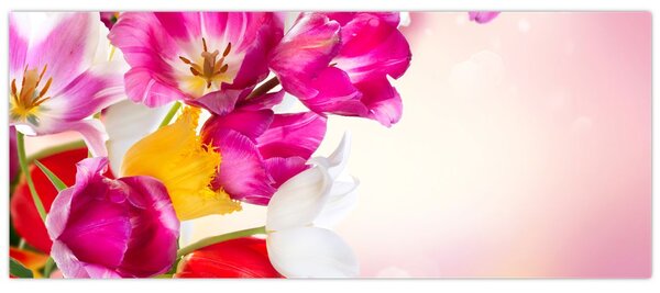 Tulipán képe (120x50 cm)