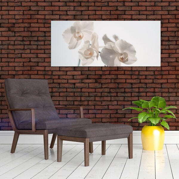 Fehér orchidea képe (120x50 cm)