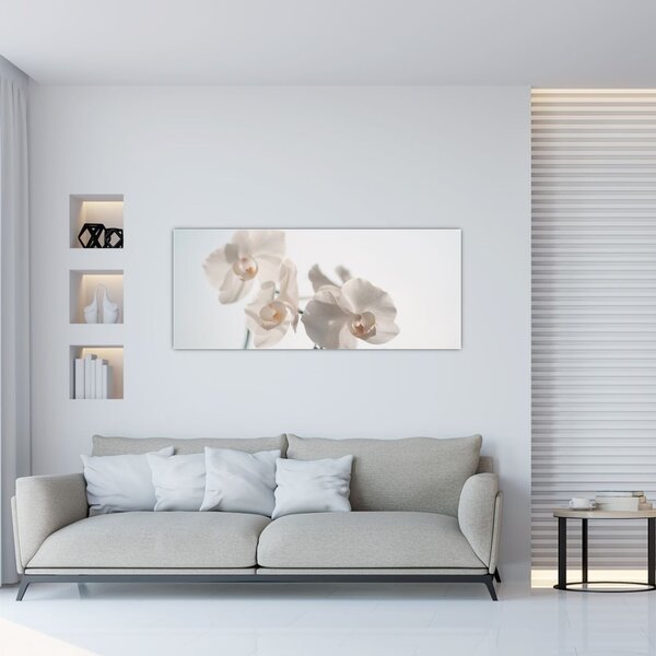 Fehér orchidea képe (120x50 cm)