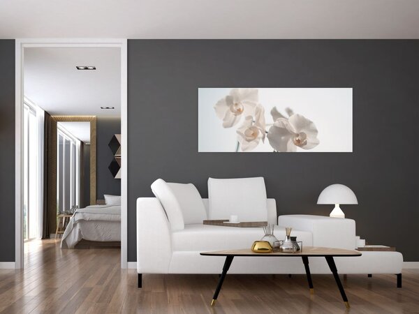 Fehér orchidea képe (120x50 cm)