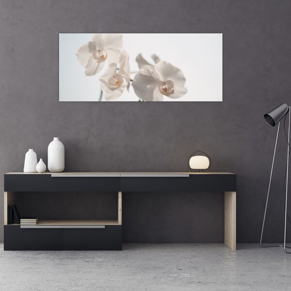 Fehér orchidea képe (120x50 cm)