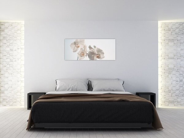 Fehér orchidea képe (120x50 cm)