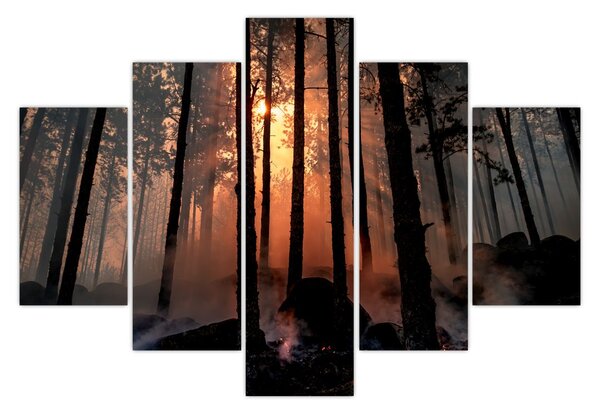 Sötét erdő képe (150x105 cm)