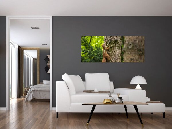 Kép - Mókus (120x50 cm)
