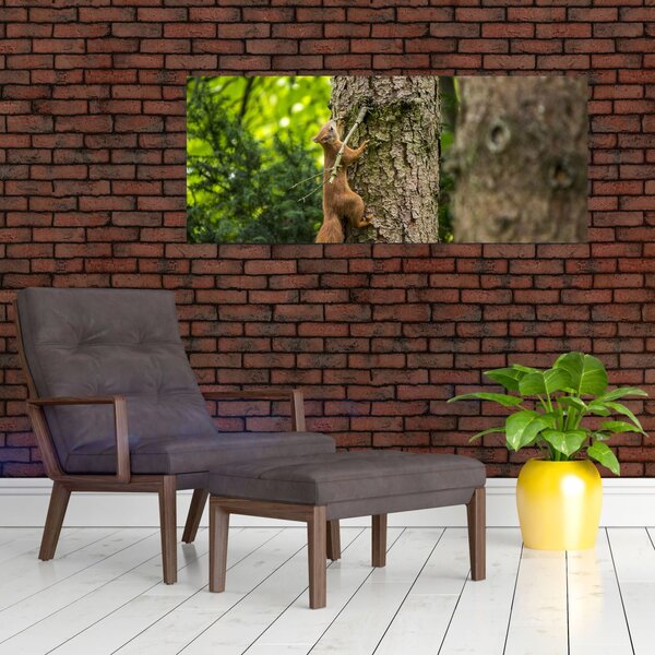 Kép - Mókus (120x50 cm)