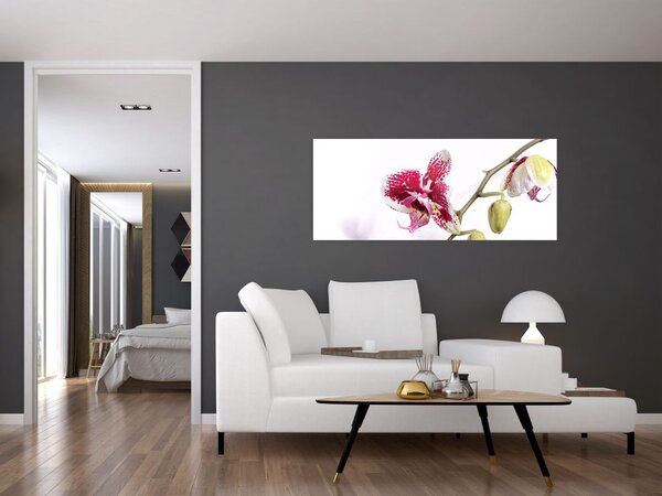 Orchidea virág képe (120x50 cm)