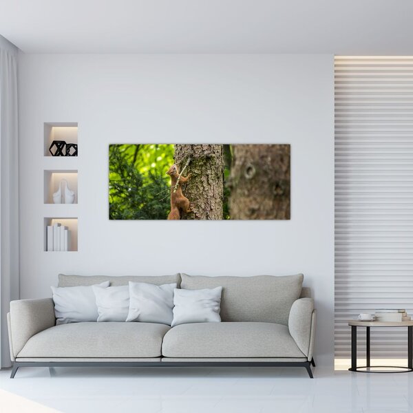 Kép - Mókus (120x50 cm)