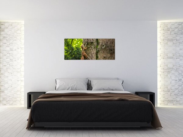 Kép - Mókus (120x50 cm)
