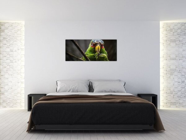 Papagáj képe (120x50 cm)