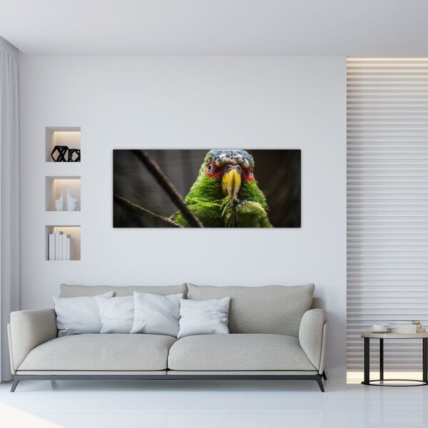 Papagáj képe (120x50 cm)