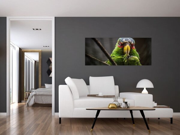 Papagáj képe (120x50 cm)