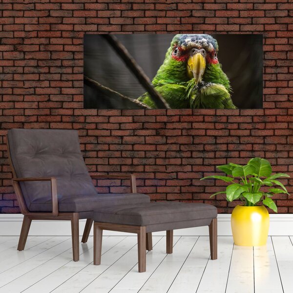 Papagáj képe (120x50 cm)