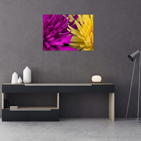 Kép - virág részlet (70x50 cm)