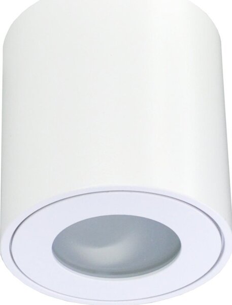 Lampa sufitowa ECOLIGHT2 Eco Light EC79971 spot lampa sufitowa 1x35W GU10 biały