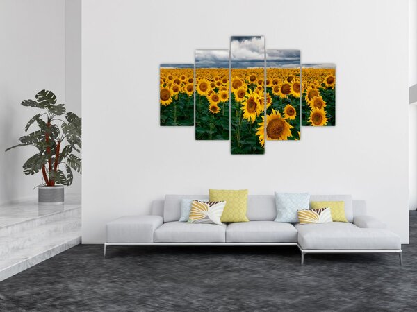 Napraforgó mező képe (150x105 cm)