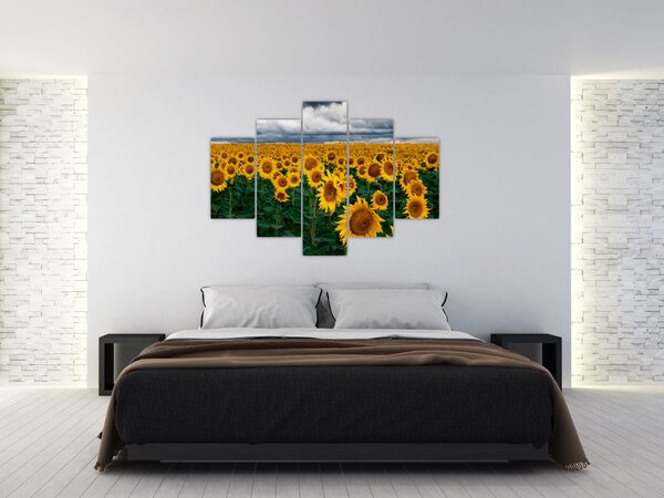 Napraforgó mező képe (150x105 cm)