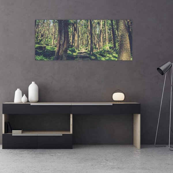 Kép egy út a fák között (120x50 cm)