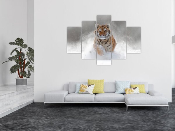 Futó tigris a hóban képe (150x105 cm)