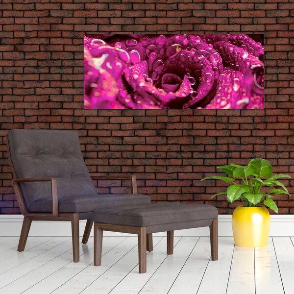 Rózsaszín rózsa virágzata képe (120x50 cm)