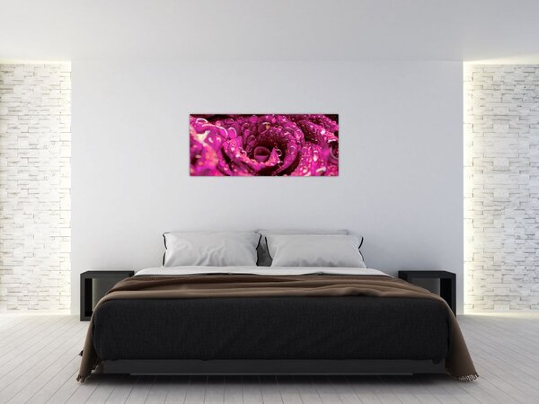 Rózsaszín rózsa virágzata képe (120x50 cm)