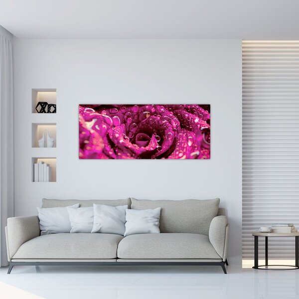 Rózsaszín rózsa virágzata képe (120x50 cm)